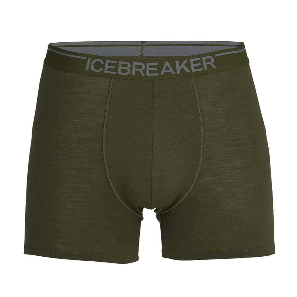 Icebreaker top merino underwear