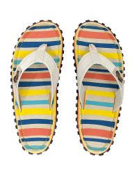 Gumbies flip flops Beach