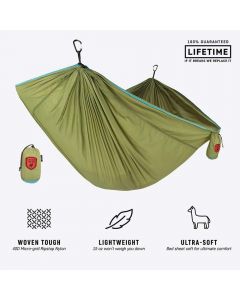 olive / aqua