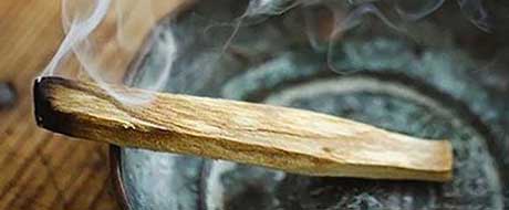 Palo Santo or sacred wood - stick